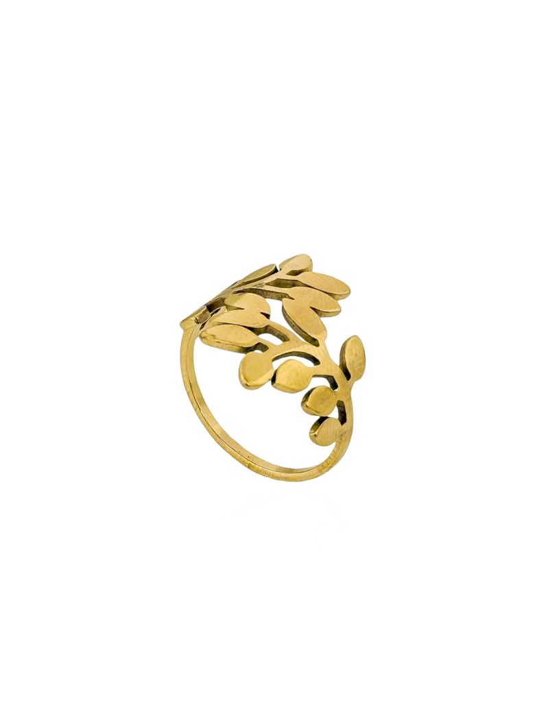 Anel Aço Inoxidável Folheado a Ouro 18k Design Ramos