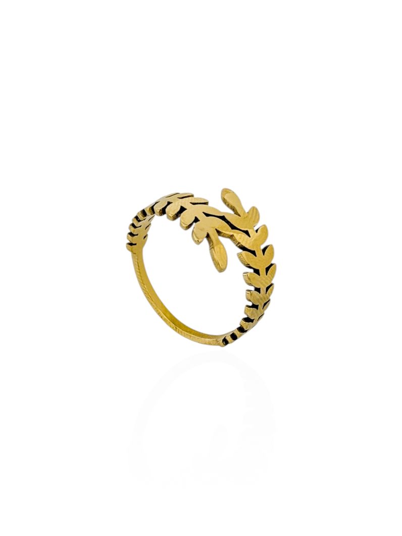 Anel Aço Inoxidável Folheado a Ouro 18k Design Ramos