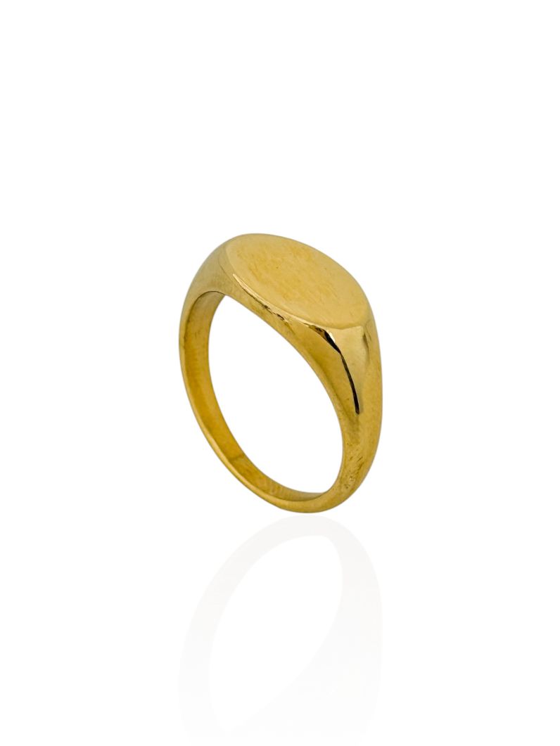 Anel Aço Inoxidável Folheado a Ouro 18k Design Reto Liso