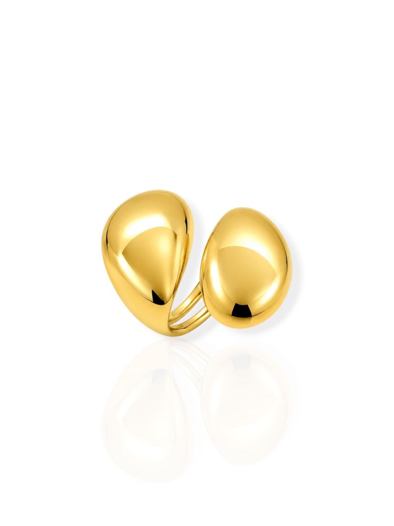 Anel Aço Inoxidavel Folheado a Ouro 18k Duo Gota Liso