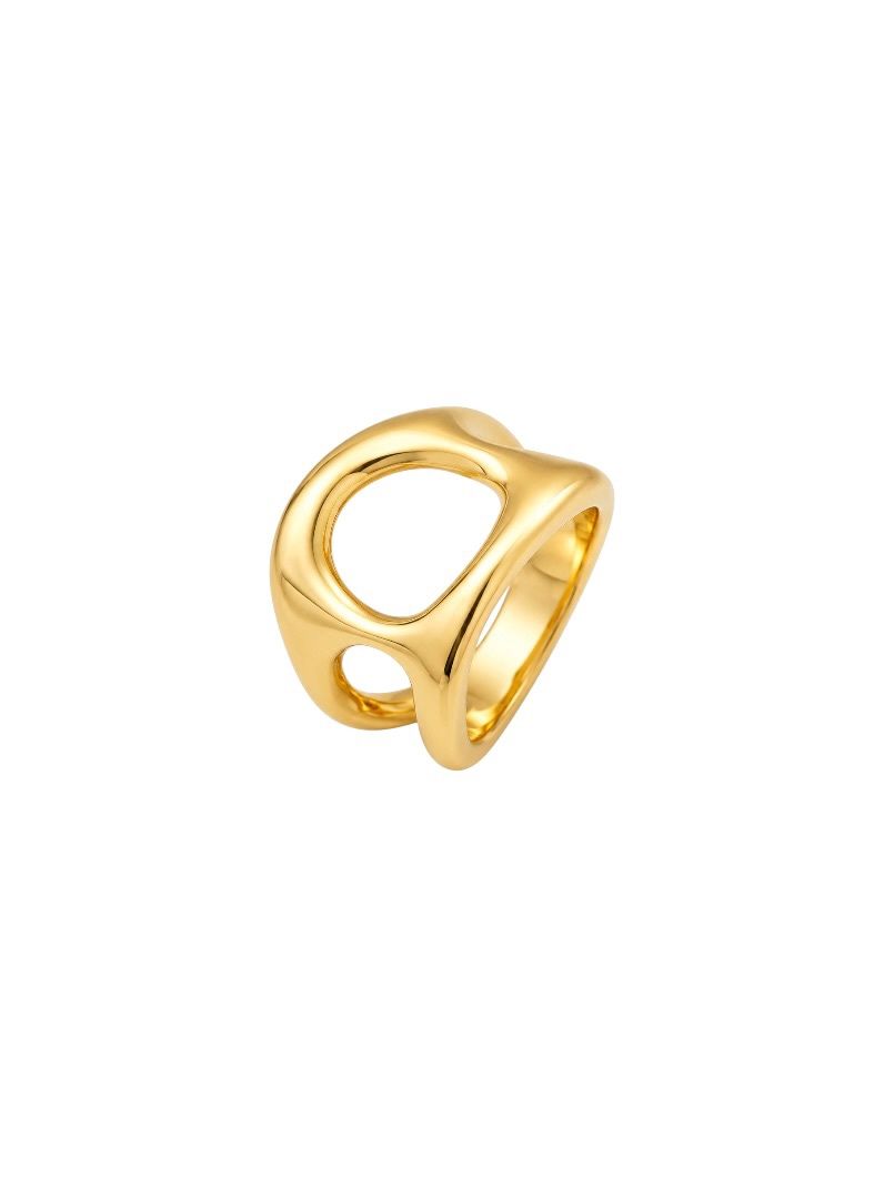 Anel Aço Inoxidável Folheado a Ouro 18k e Prata Orgânico Vazado