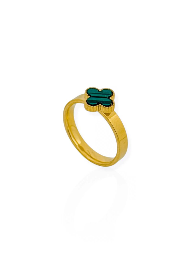 Anel de Aço Inoxidavel Folheado a Ouro 18K e Prata Inspiração Vg. Resinado