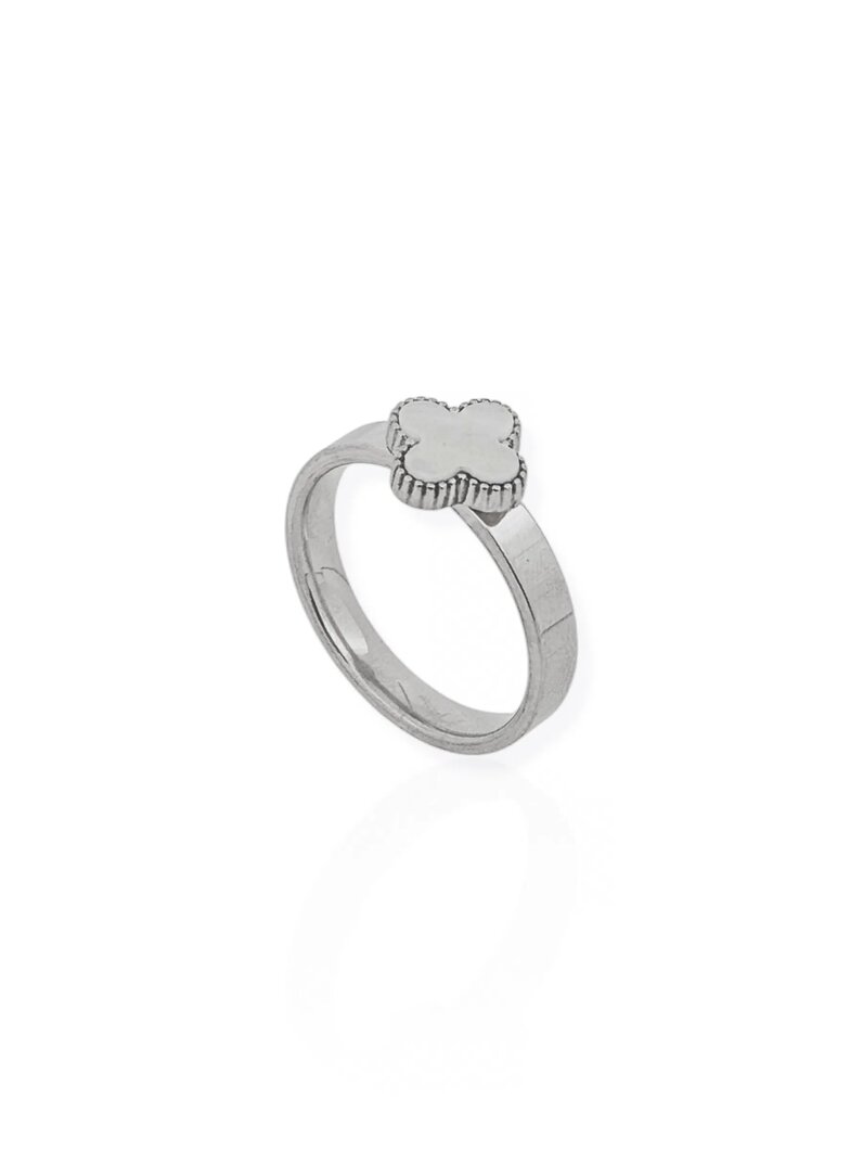 Anel de Aço Inoxidavel Folheado a Ouro 18K e Prata Inspiração Vg. Resinado