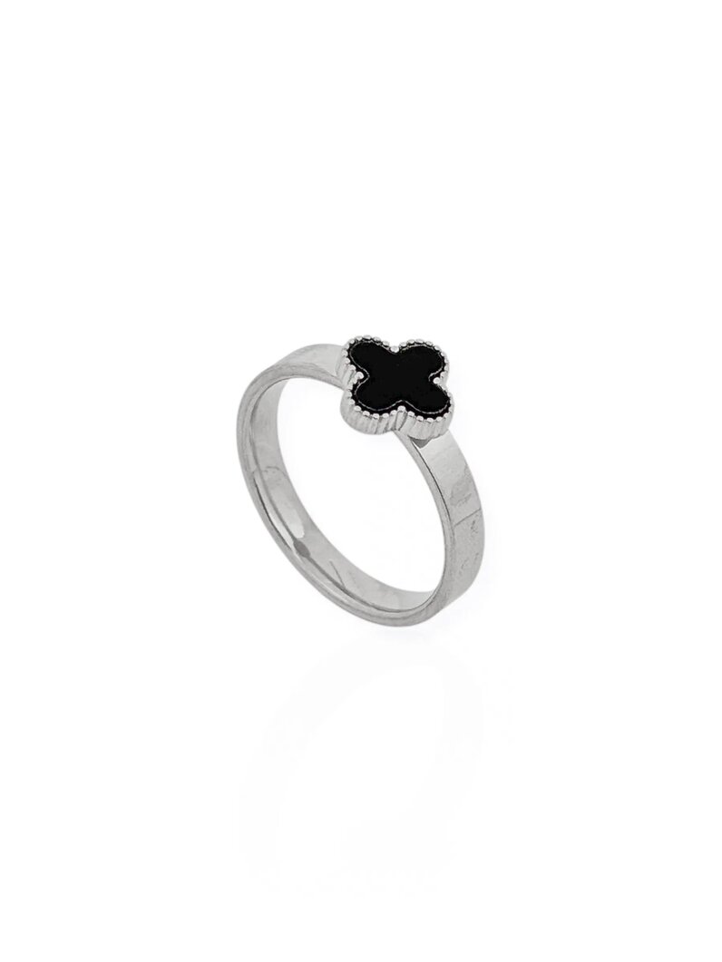 Anel de Aço Inoxidavel Folheado a Ouro 18K e Prata Inspiração Vg. Resinado