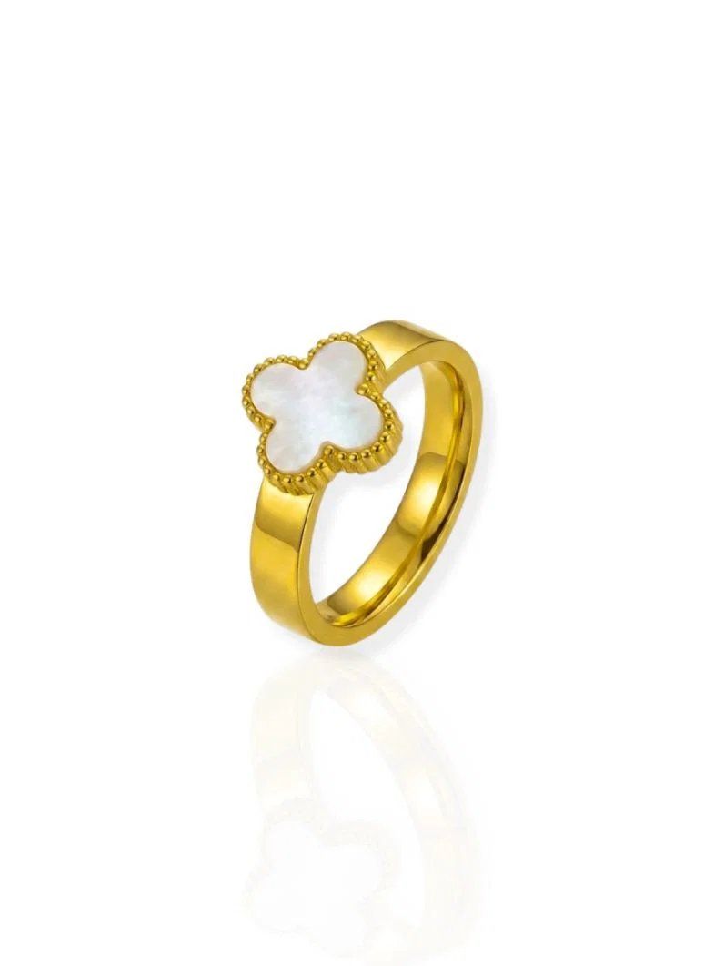 Anel de Aço Inoxidavel Folheado a Ouro 18k e Prata Inspiração Vg. Resinado