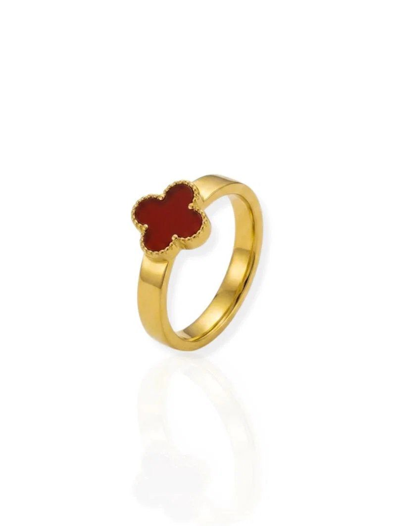 Anel de Aço Inoxidavel Folheado a Ouro 18k e Prata Inspiração Vg. Resinado