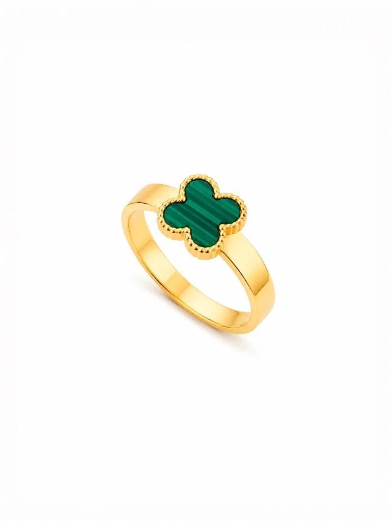 Anel de Aço Inoxidavel Folheado a Ouro 18k e Prata Inspiração Vg. Resinado
