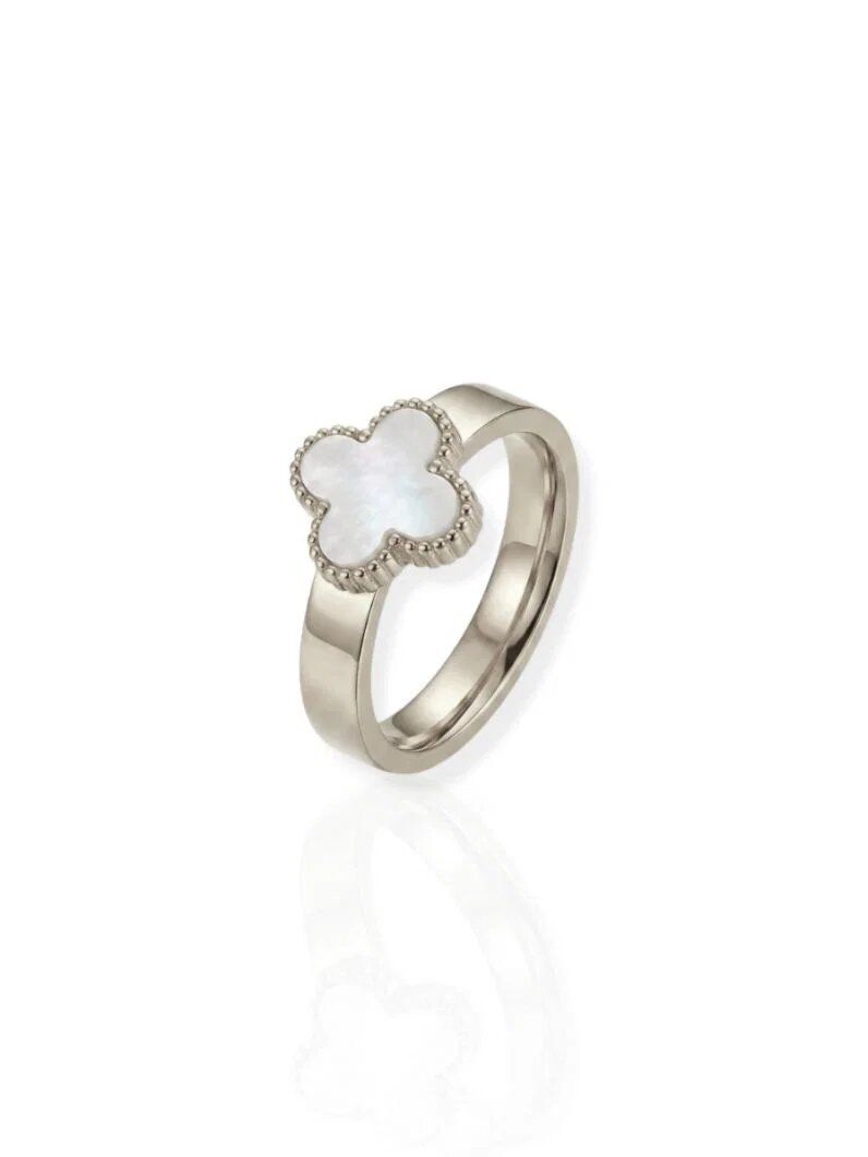 Anel de Aço Inoxidavel Folheado a Ouro 18k e Prata Inspiração Vg. Resinado