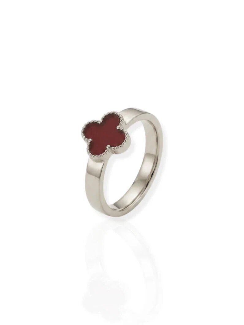 Anel de Aço Inoxidavel Folheado a Ouro 18k e Prata Inspiração Vg. Resinado