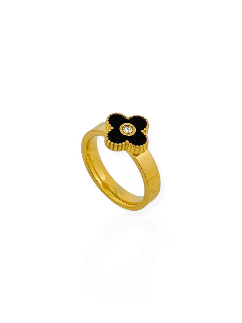 Anel de Aço Inoxidavel Folheado a Ouro 18K e Prata Inspiração Vg. Resinado e Ponto de Luz