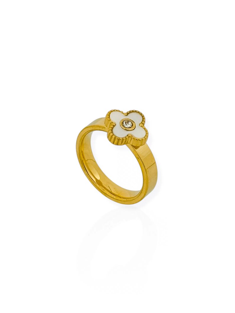 Anel de Aço Inoxidavel Folheado a Ouro 18K e Prata Inspiração Vg. Resinado e Ponto de Luz