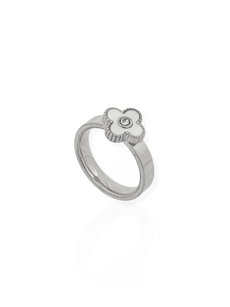 Anel de Aço Inoxidavel Folheado a Ouro 18K e Prata Inspiração Vg. Resinado e Ponto de Luz