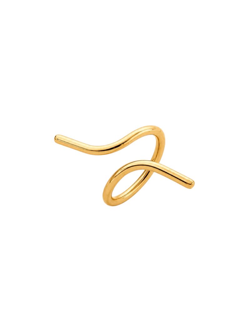 Anel Folheado a Ouro 18k e Prata Fio Liso