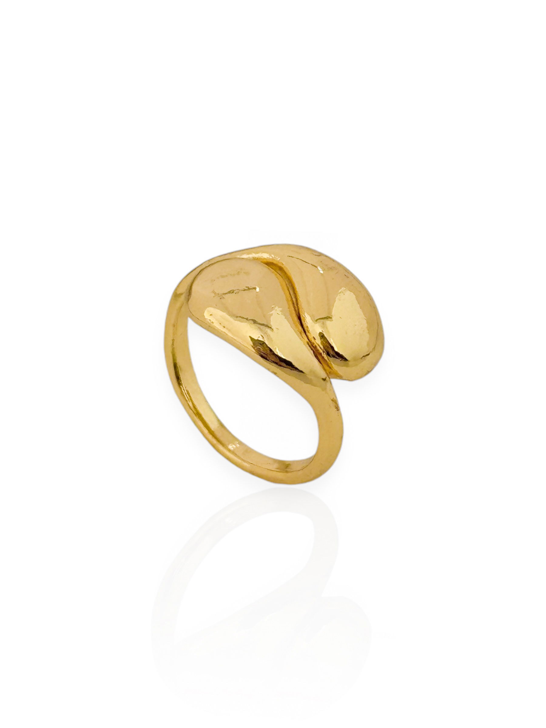 Anel Folheado a Ouro 18k e Prata Gota Dupla