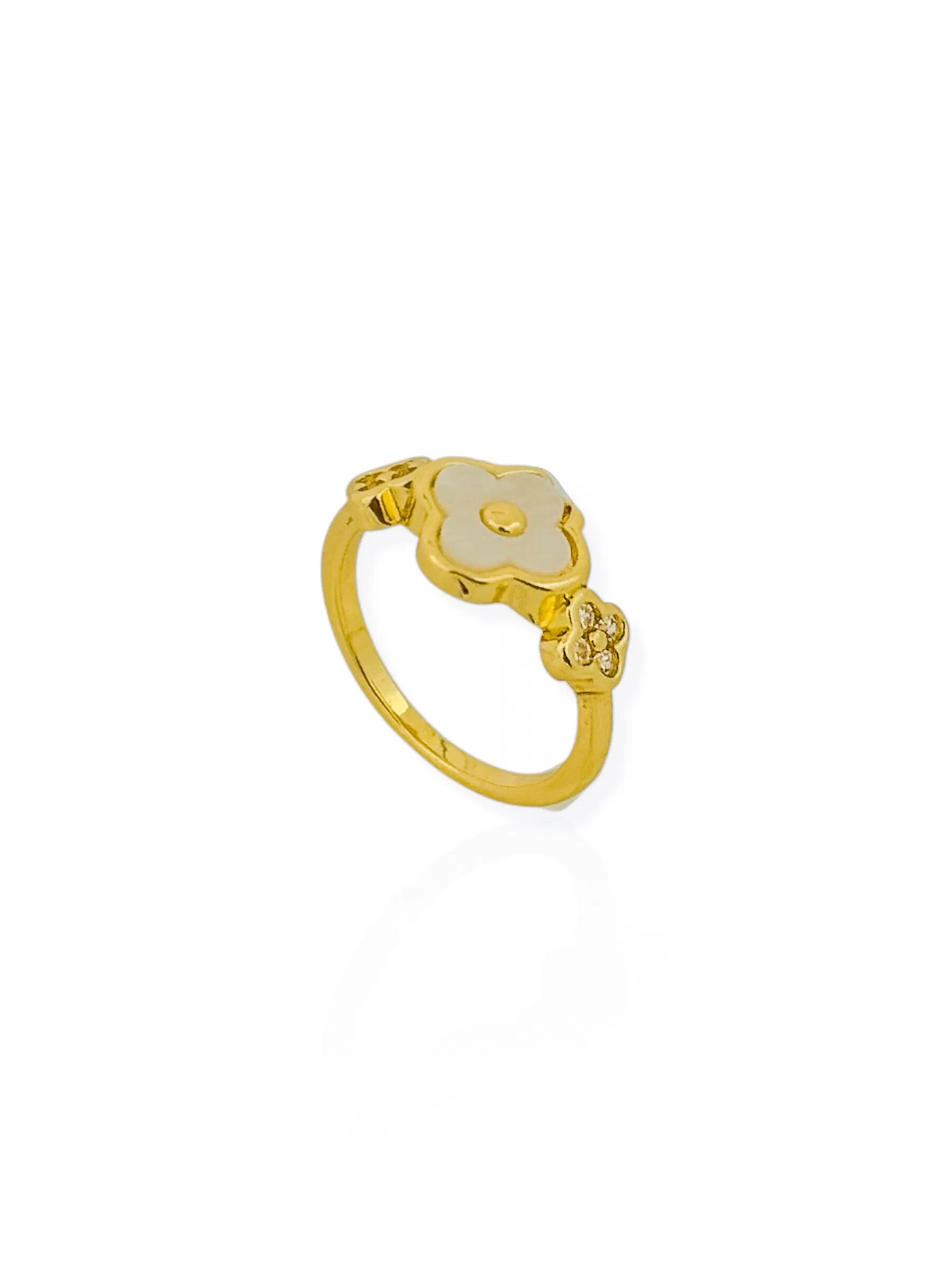 Anel Folheado a Ouro 18k e Prata Inspiração Vg Resinado