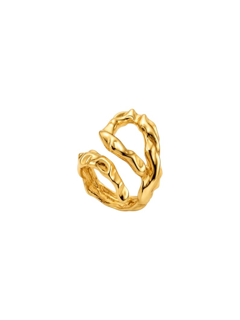 Anel Folheado a Ouro 18k e Prata Vazado Martelado