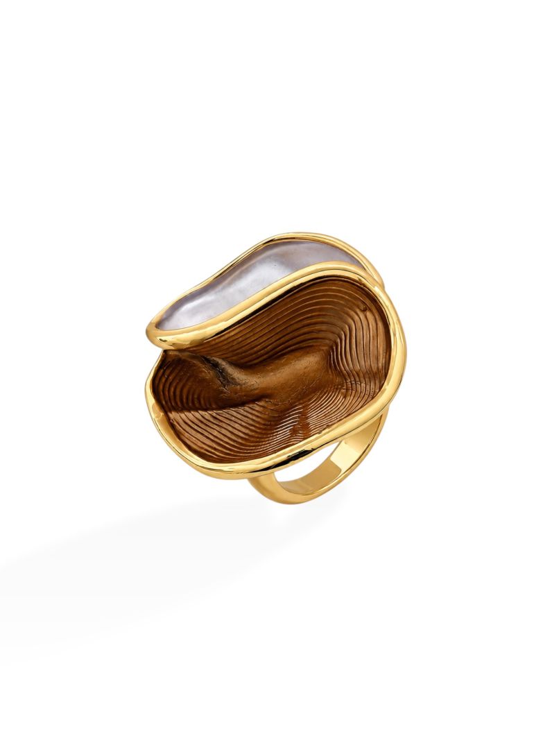 Anel Folheado a Ouro 18k Forma Orgânica Resinada