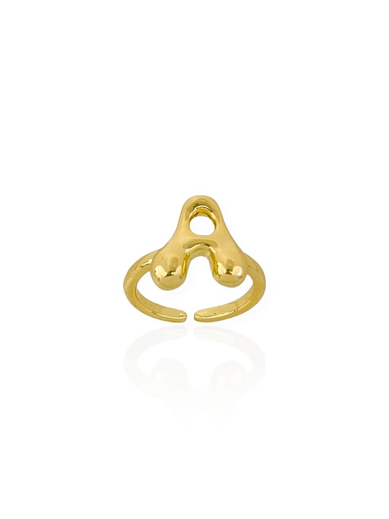 Anel Folheado a Ouro 18k Iniciais