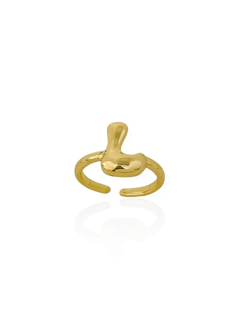 Anel Folheado a Ouro 18k Iniciais