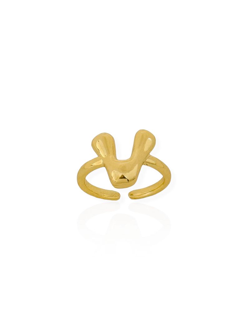Anel Folheado a Ouro 18k Iniciais