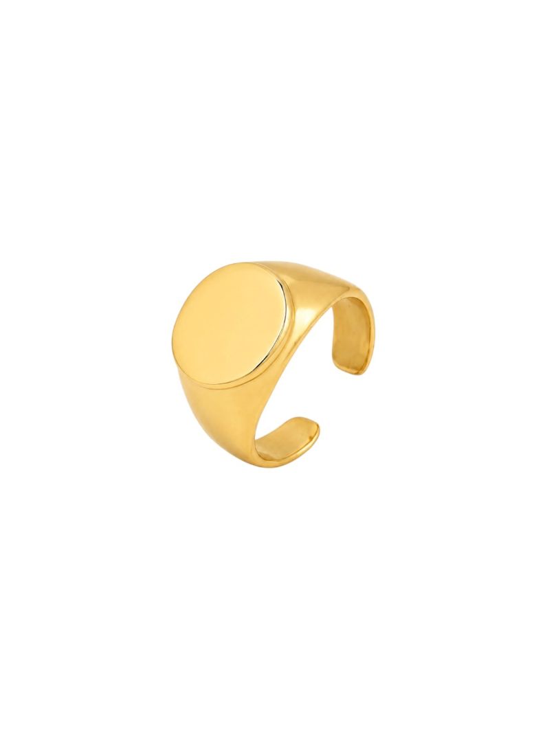 Anel Regulável Folheado a Ouro 18k Círculo Liso