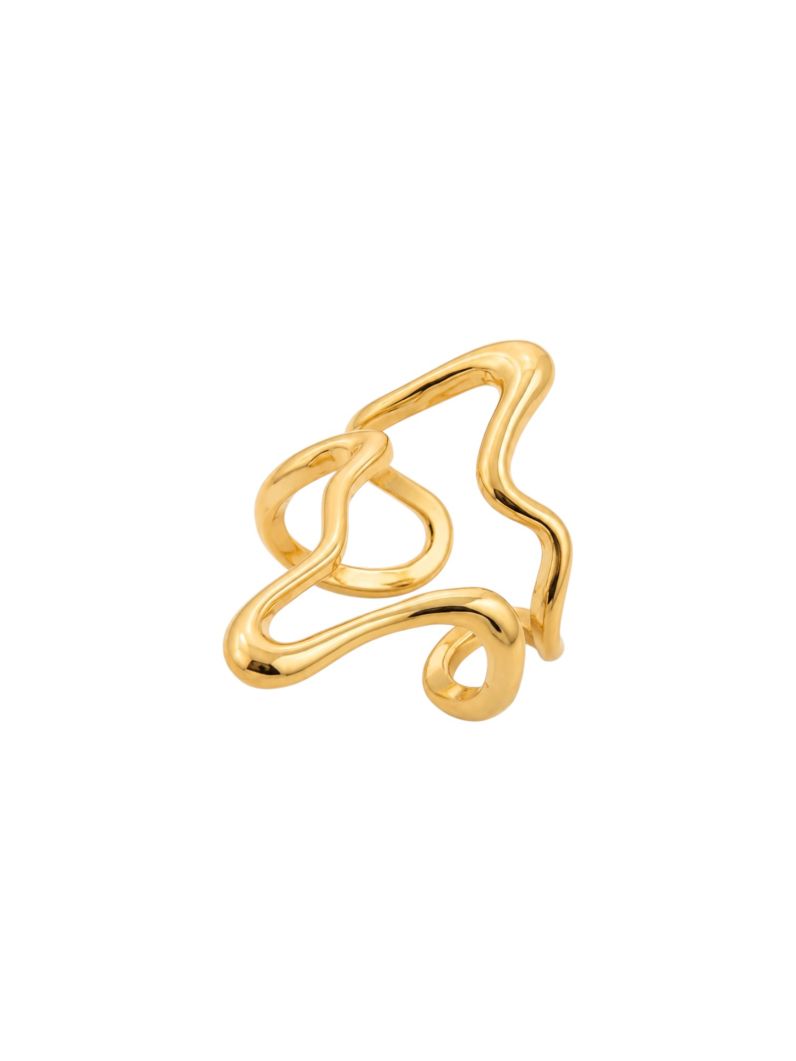 Anel Regulavel Folheado a Ouro 18k e Prata Organico Vazado