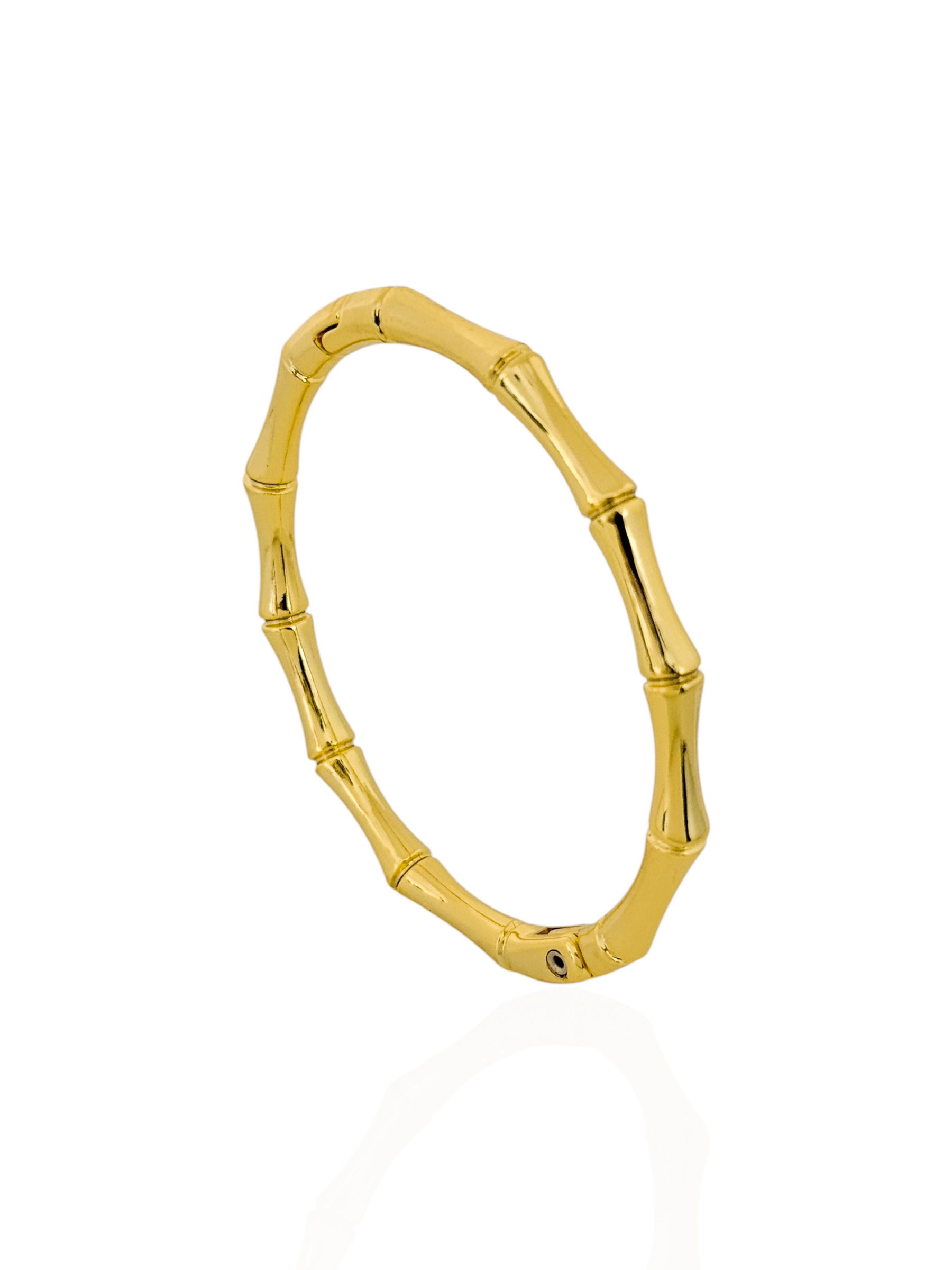 Bracelete Semi Joia Aro Design Bambu