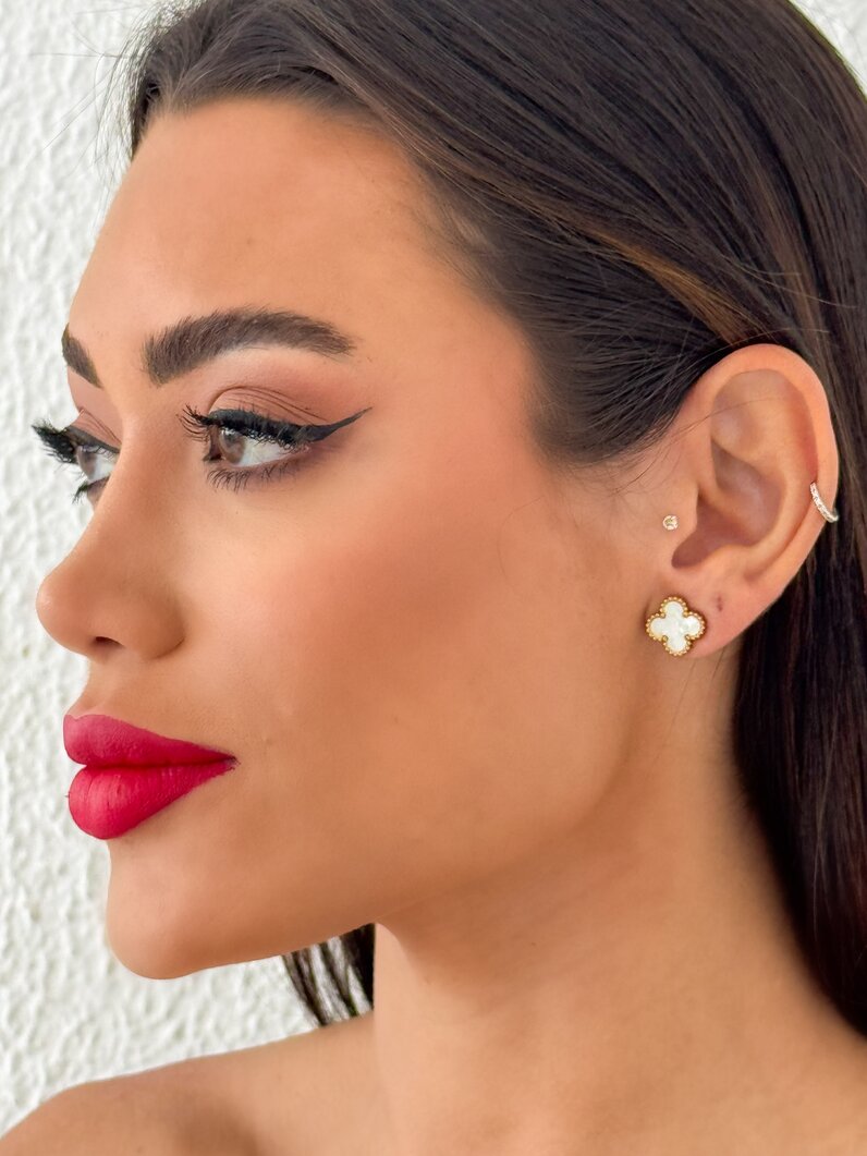 Brinco Aço inoxidável Ouro 18k e Prata Inspiração Vg. Resinado