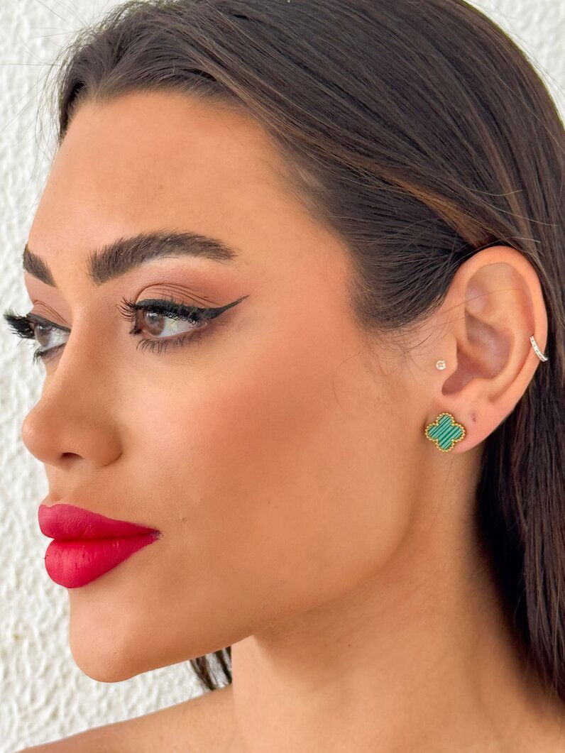 Brinco Aço inoxidável Ouro 18k e Prata Inspiração Vg. Resinado