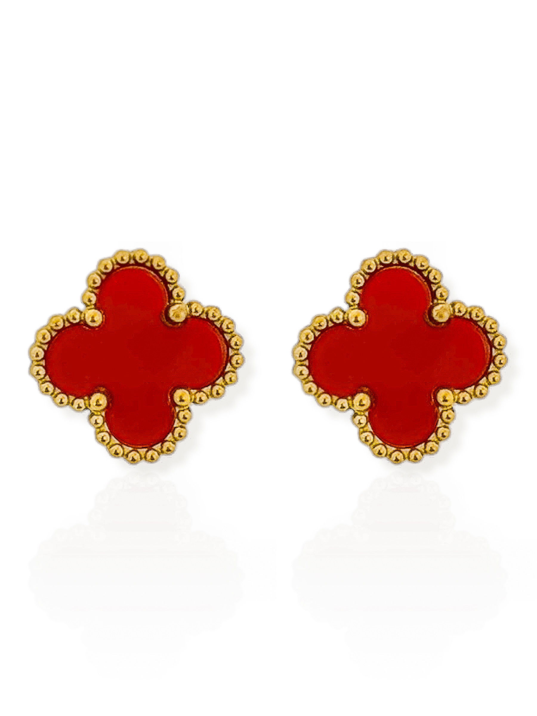 Brinco Aço inoxidável Ouro 18k e Prata Inspiração Vg. Resinado