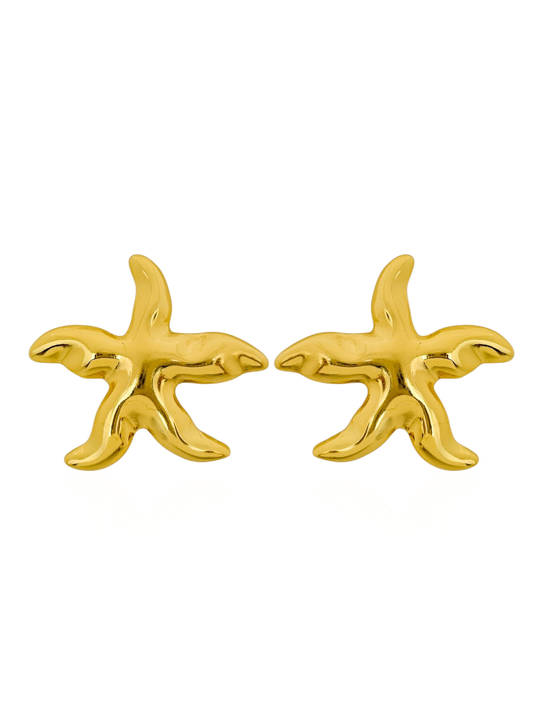 Brinco de Aço Inoxidavel Folheado a Ouro 18k Estrela do Mar Organica Lisa