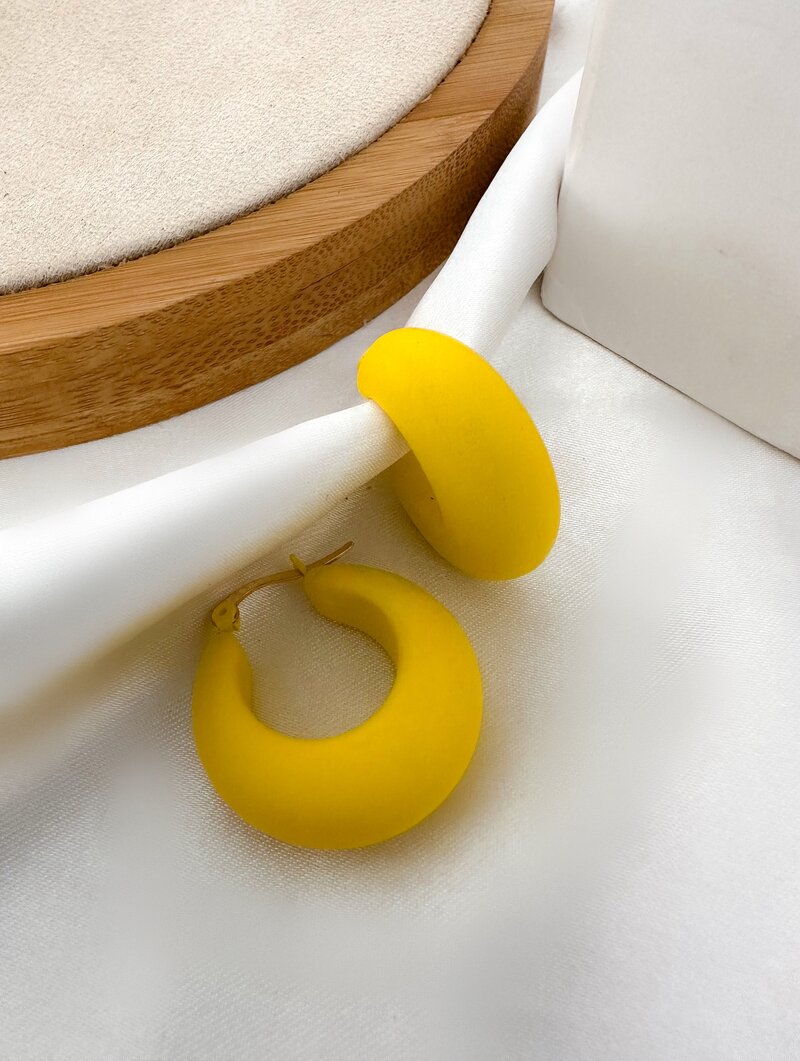 Brinco de Resina Colorida Argola com Fecho