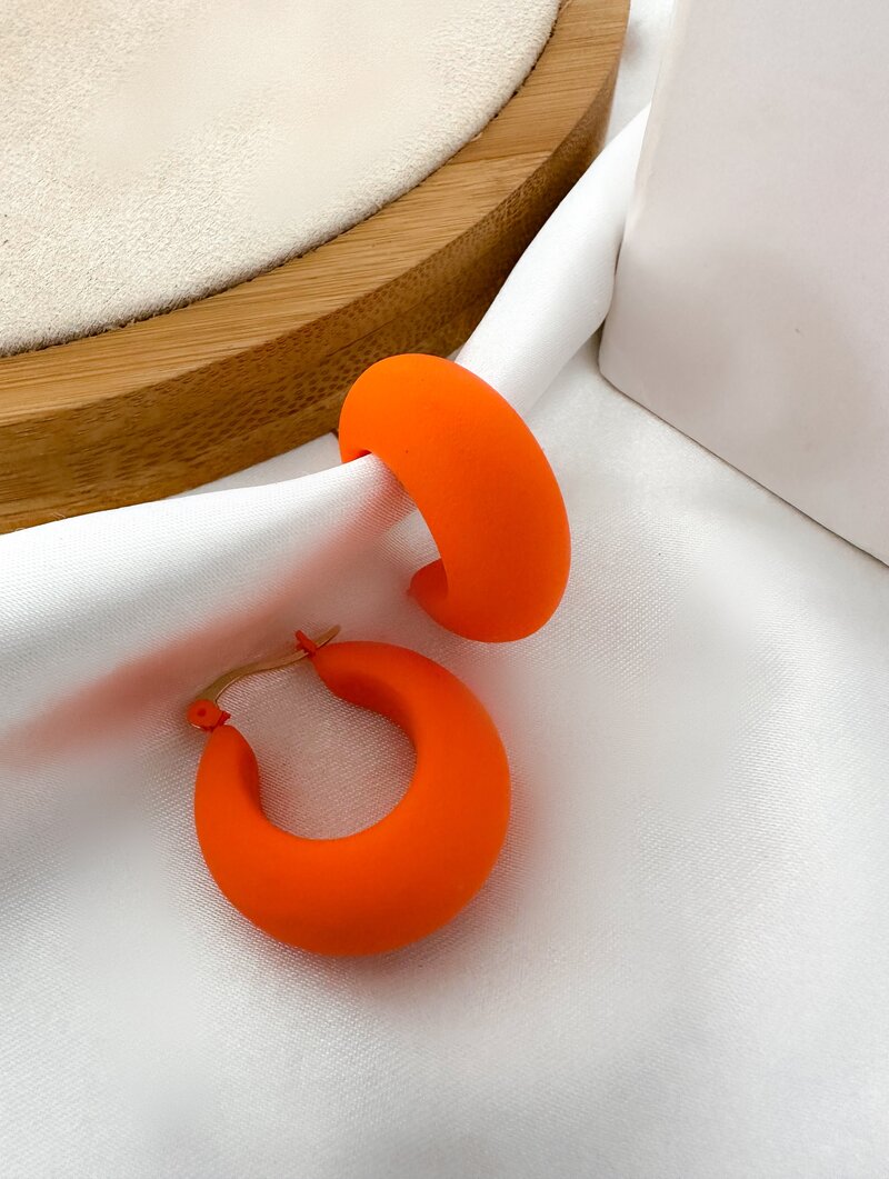 Brinco de Resina Colorida Argola com Fecho