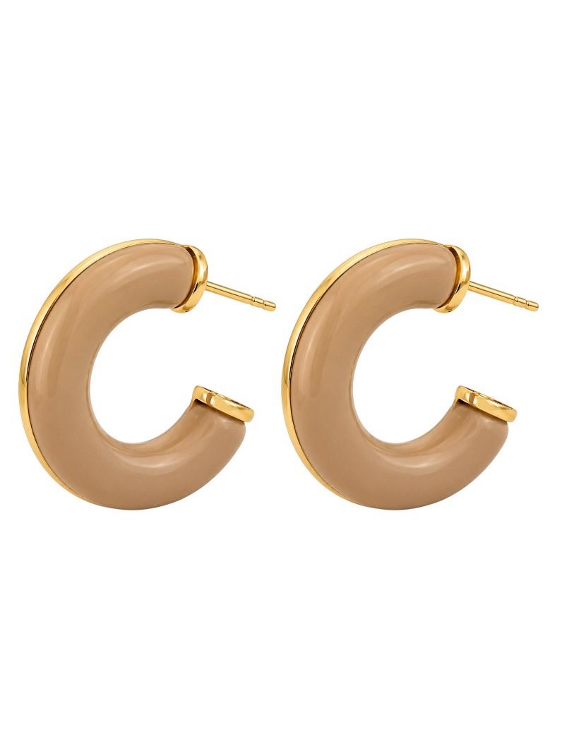 Brinco Folheado a Ouro 18k Argola Resinada