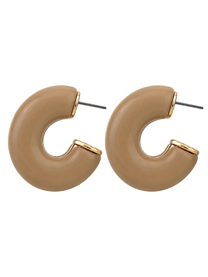 Brinco Folheado a Ouro 18k Argola Resinada