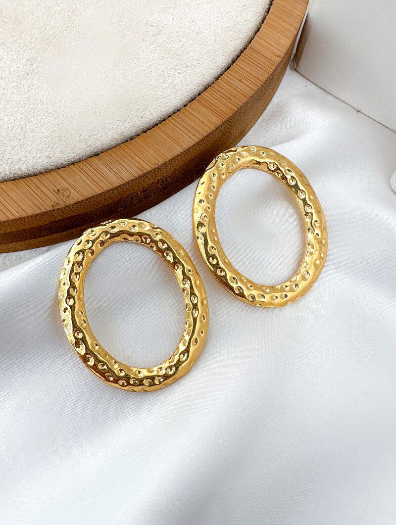 Brinco Folheado a Ouro 18k Circulo Orgânico