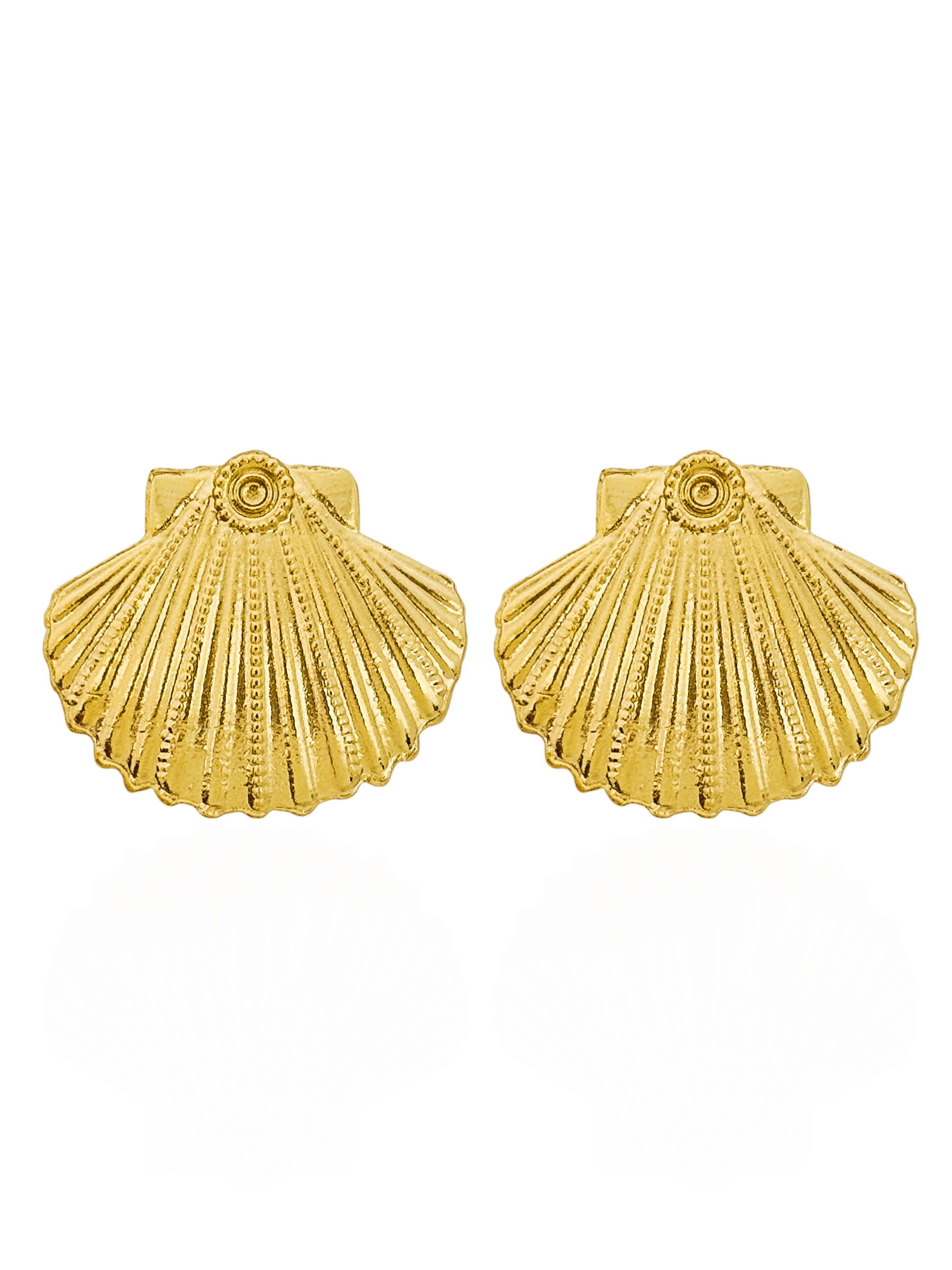 Brinco Folheado a Ouro 18k Design Concha Texturizada