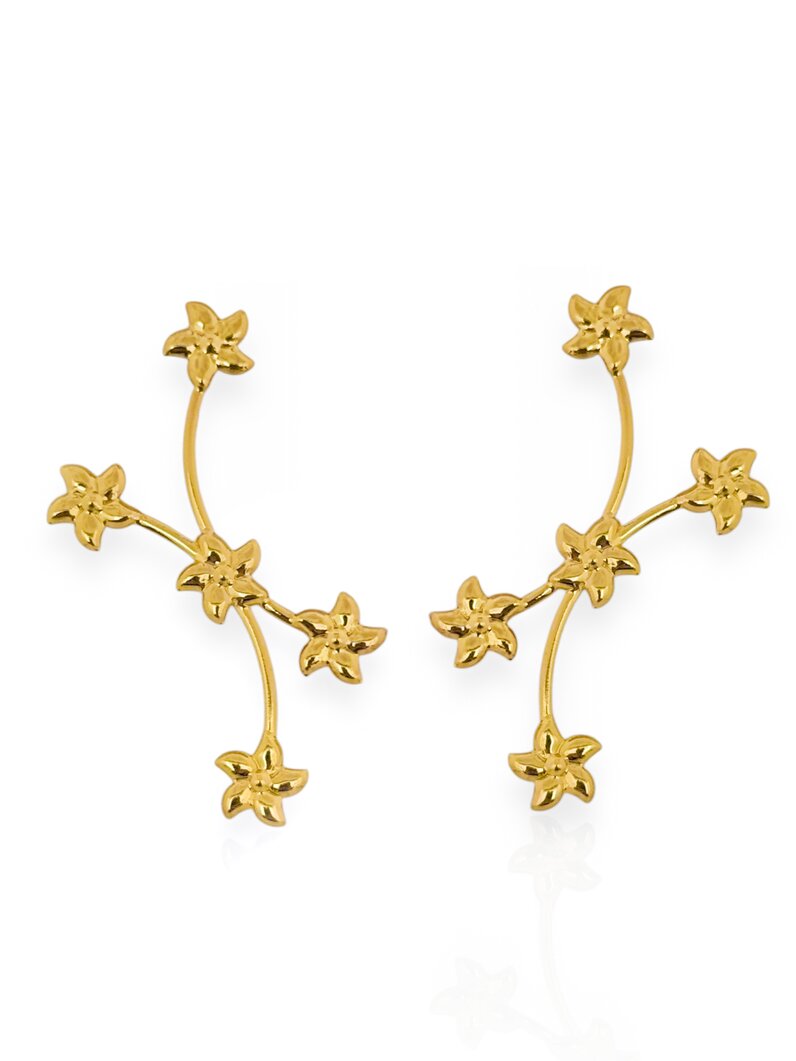 Brinco Folheado a Ouro 18k e Prata 925 Aro com Pequenas Flores