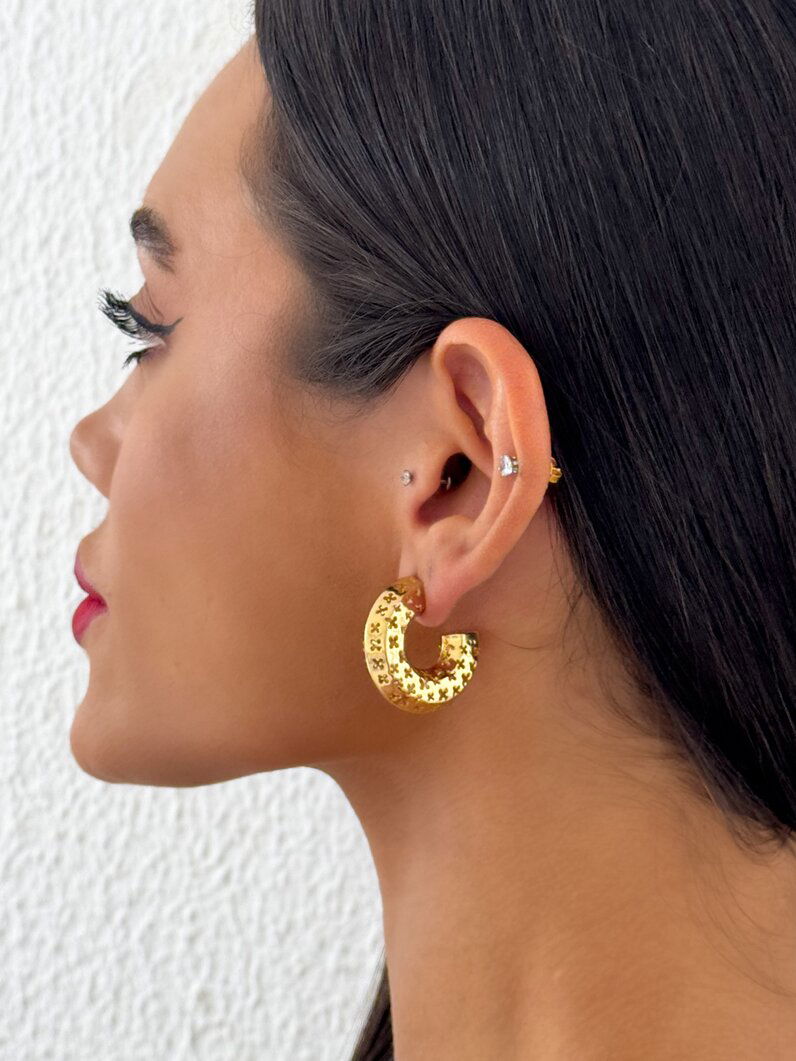 Brinco Folheado a Ouro 18k e Prata Argola Vazada Com Flor