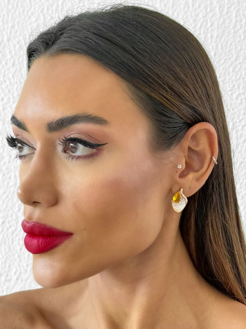 Brinco Folheado a Ouro 18k e Prata Design Folhas Cravejadas