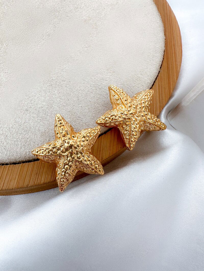 Brinco Folheado a Ouro 18k e Prata Estrela Do Mar