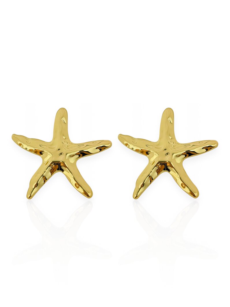 Brinco Folheado a Ouro 18k e Prata Estrela Martelado