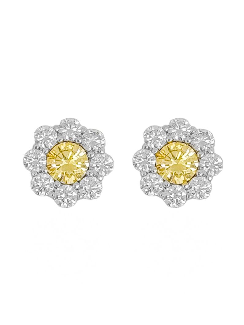 Brinco Folheado a Prata 925 Flor de Cristal