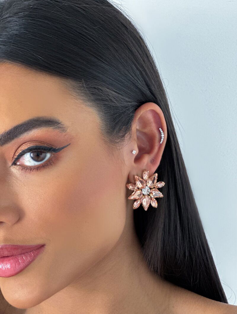 Brinco Folheado a Ouro 18k e Prata Flor Pedraria Dez Pétalas
