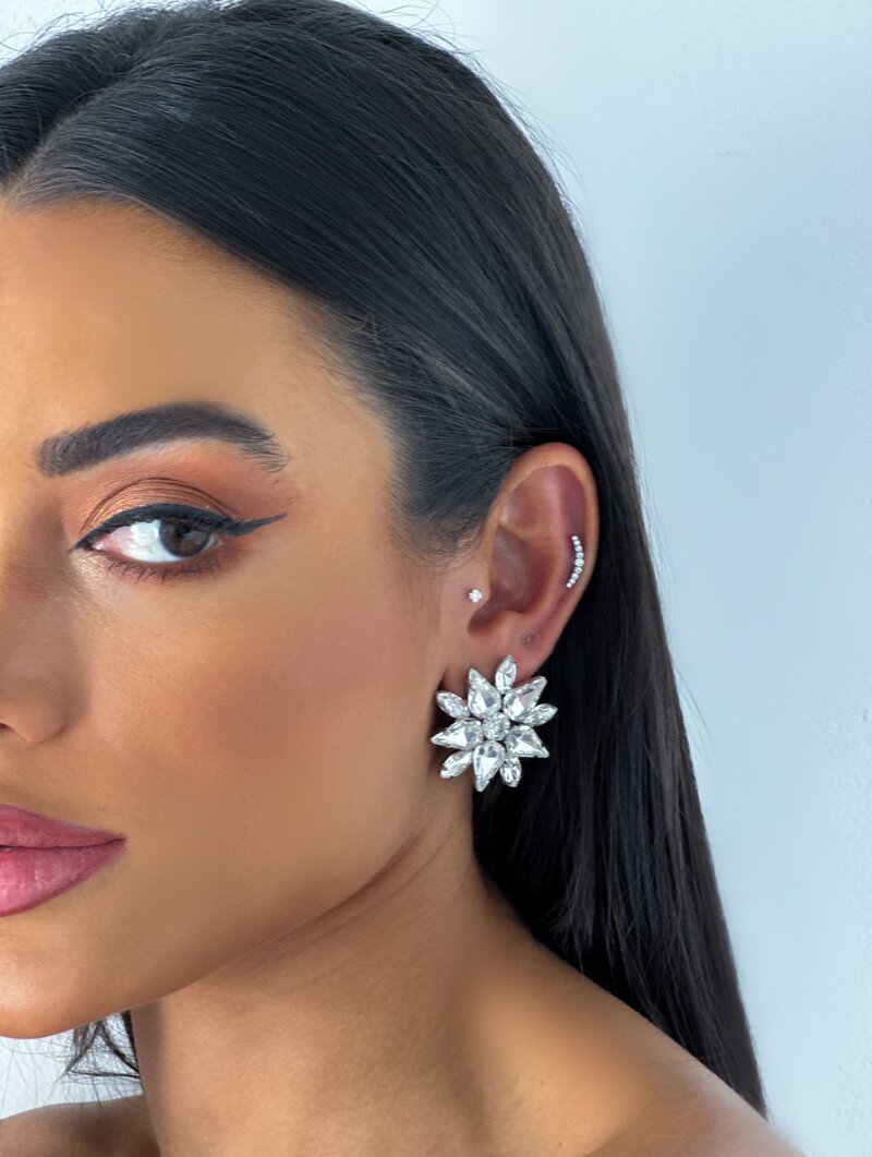 Brinco Folheado a Ouro 18k e Prata Flor Pedraria Dez Pétalas