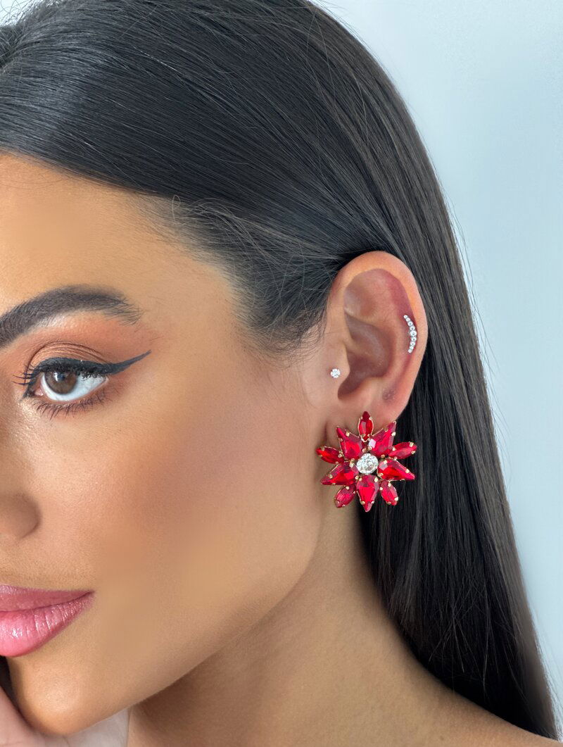 Brinco Folheado a Ouro 18k e Prata Flor Pedraria Dez Pétalas