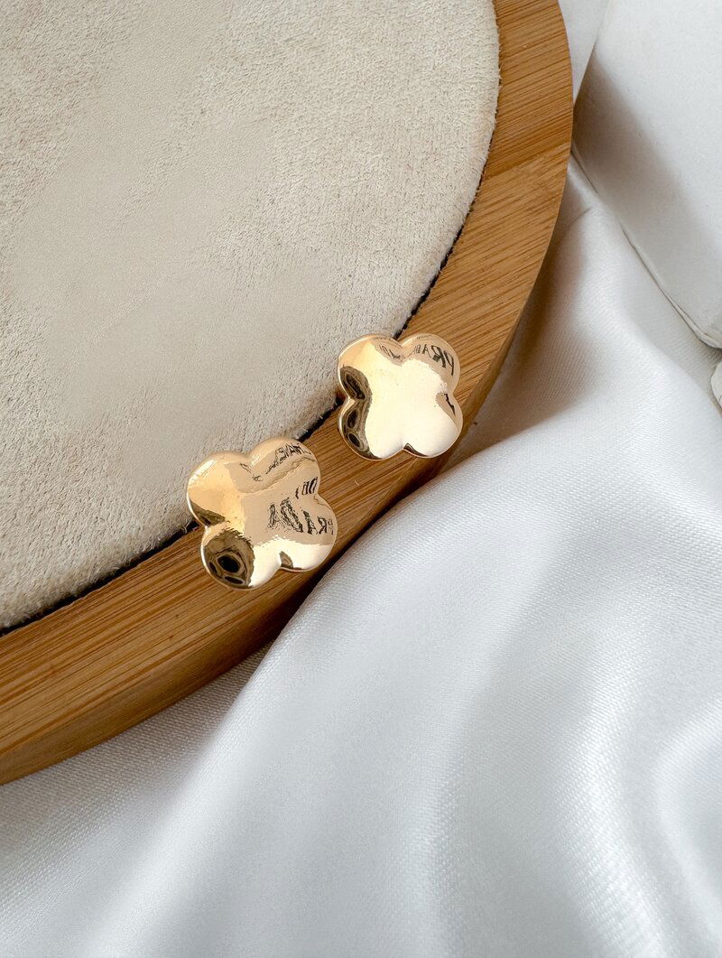 Brinco Folheado a Ouro 18k e Prata Inspiração Joalheria Liso