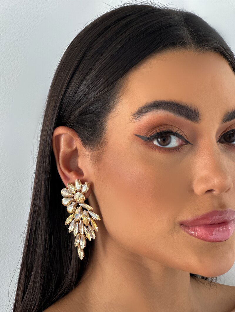 Brinco Folheado a Ouro 18k e Prata Maxi Pedraria