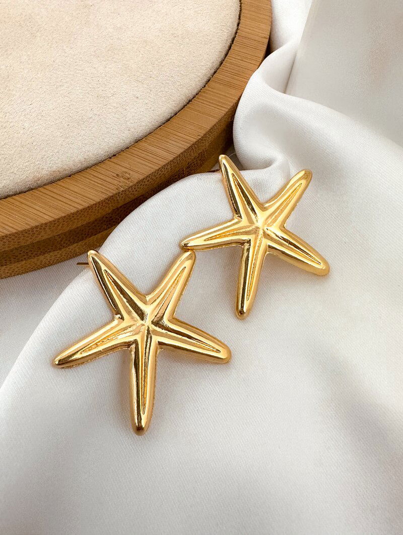 Brinco Folheado a Ouro 18k Estrela do Mar Lisa