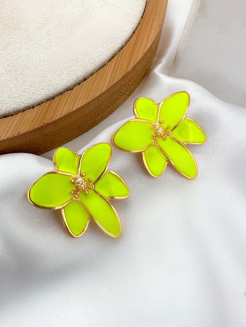 Brinco Folheado a Ouro 18k Flor Seis Pétalas Resinado